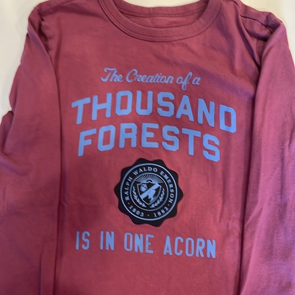 Bundle of 5 Gap and Old Navy Long Sleeve T’s - excellent condition! - Picture 5 of 12